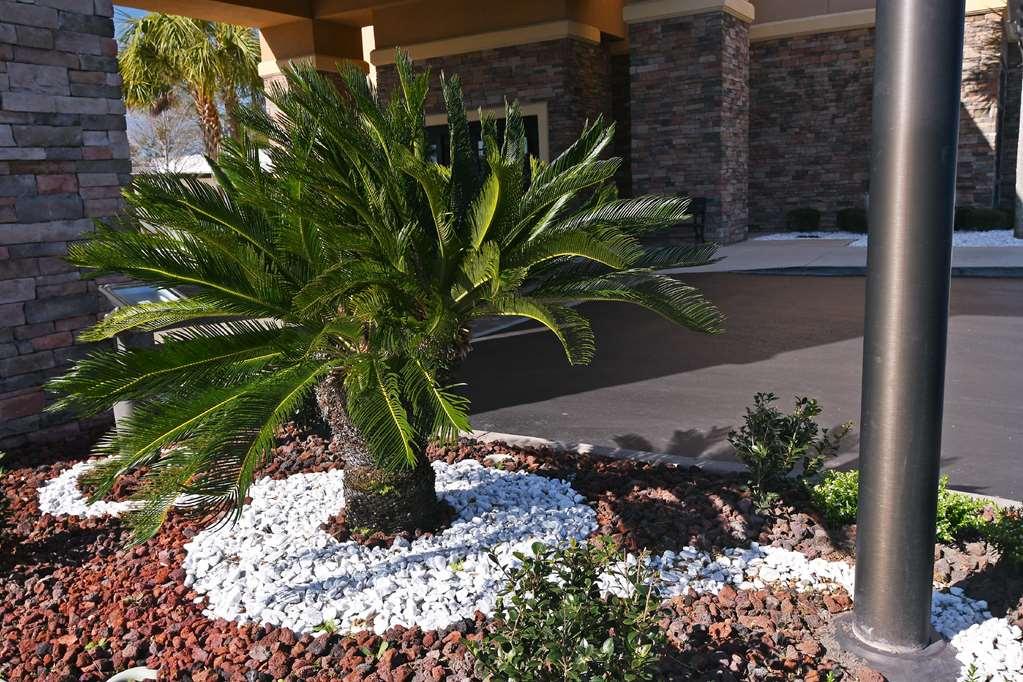 Hampton Inn & Suites Jacksonville Beach Boulevard/Mayo Clinic Exterior foto